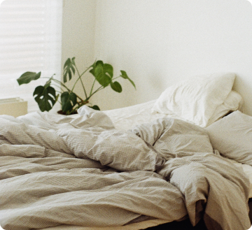 A bed with a plant on the side